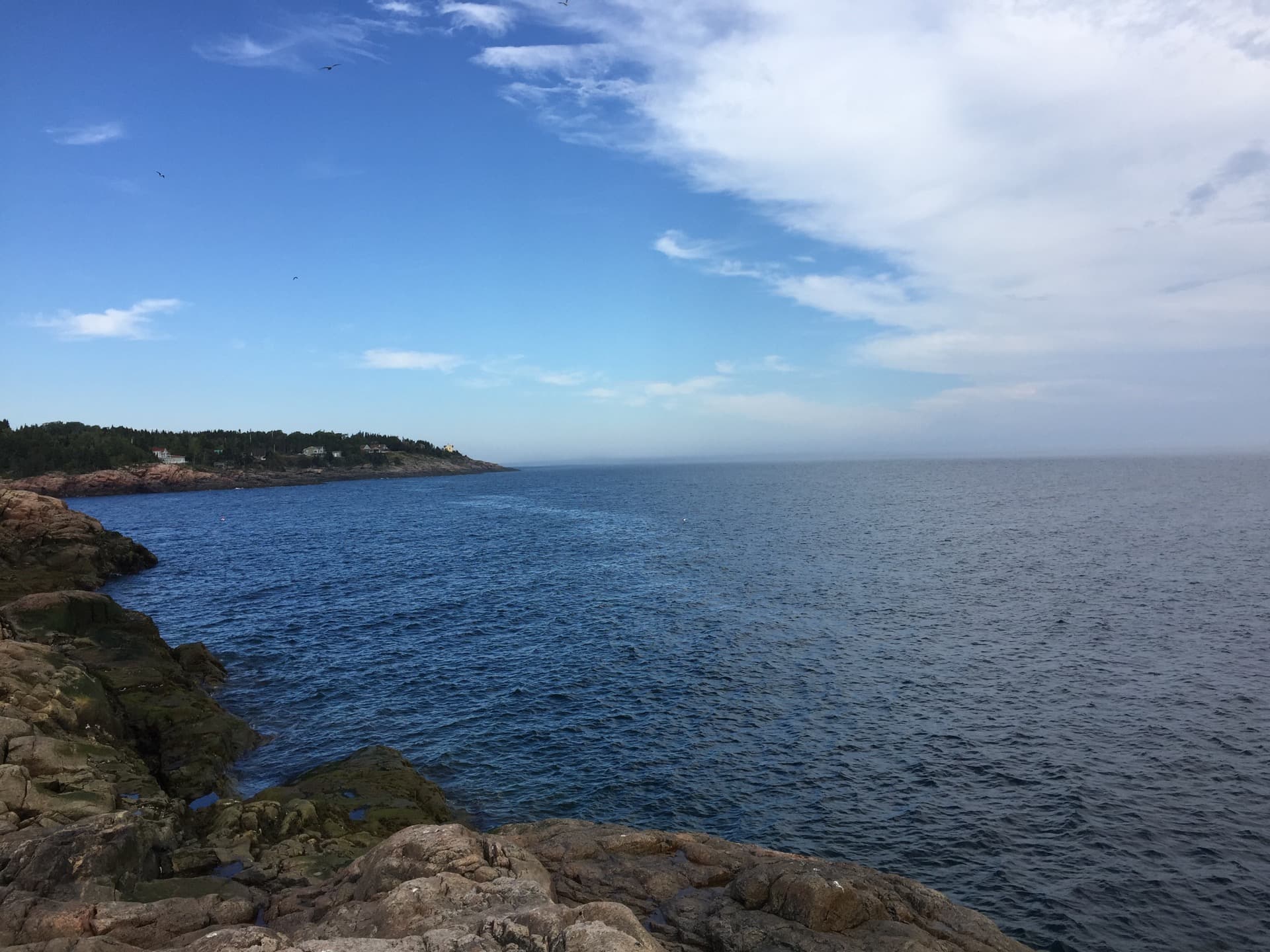 Sur la côte de l'estuaire du Saint-Laurent